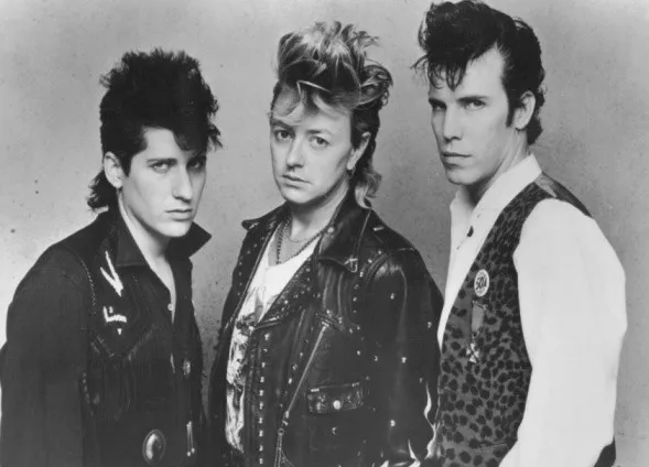 Stray Cats