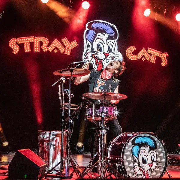 Stray Cats