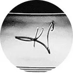Ken Perry