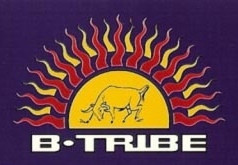 B-Tribe