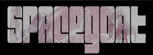 Spacegoat