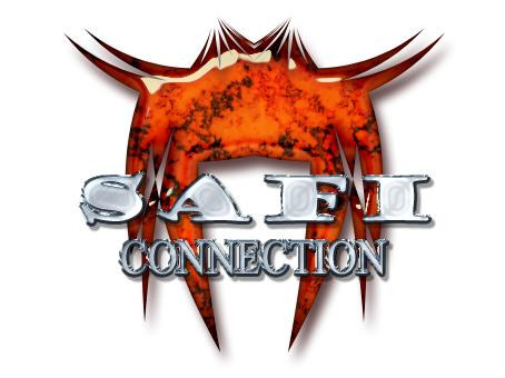 Safi Connection