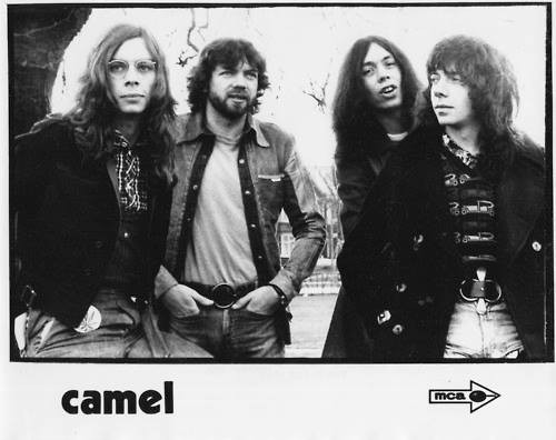 Camel