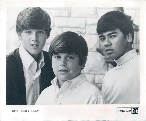 Dino, Desi & Billy