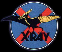 X-Ray (35)