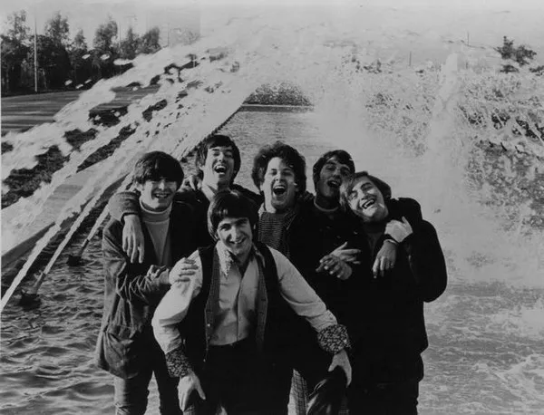 The Turtles