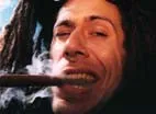 Freq Nasty