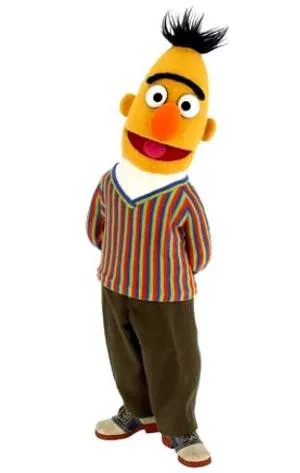 Bert (3)
