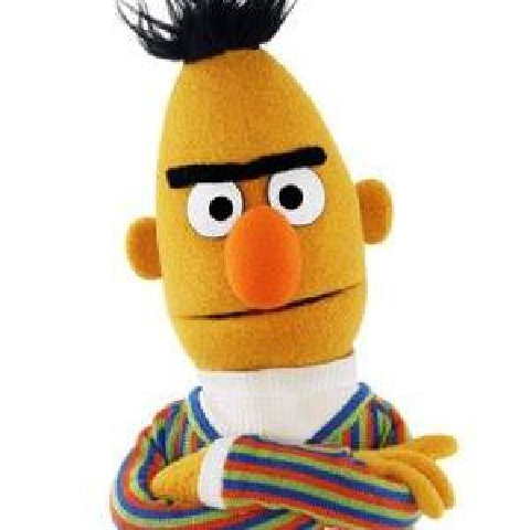 Bert (3)