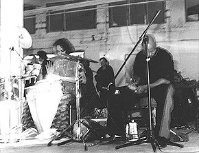 Organic Grooves