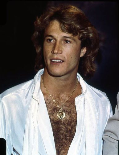 Andy Gibb