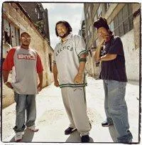 The Perceptionists