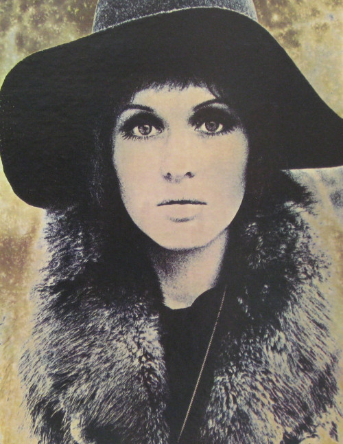 Julie Driscoll