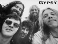Gypsy (15)