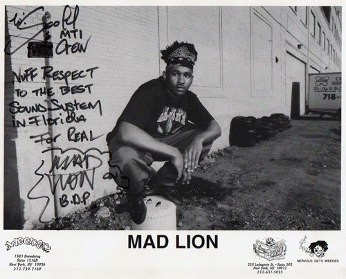 Mad Lion