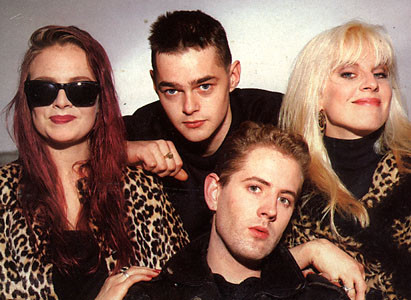 Voice Of The Beehive