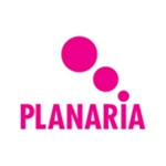 Planaria
