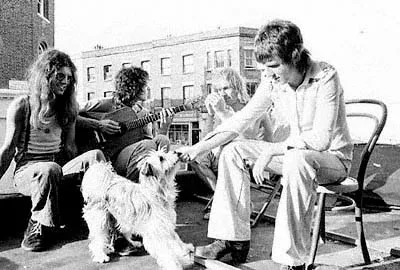 Hatfield And The North