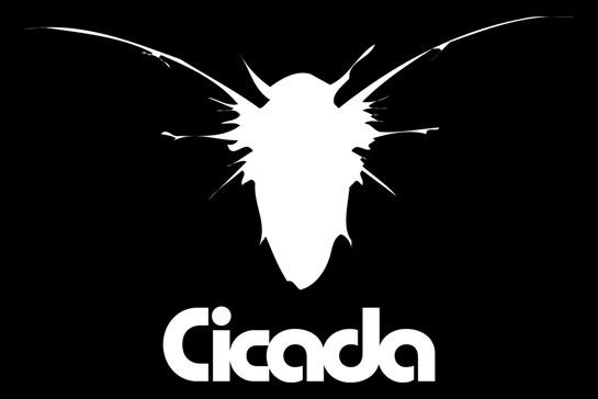 Cicada
