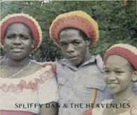 Spliffy Dan