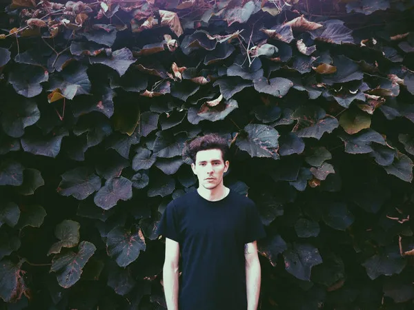 Tropics (3)