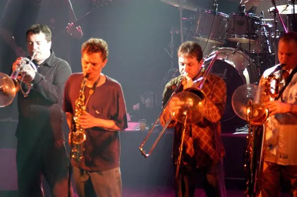 The Herbaliser Band