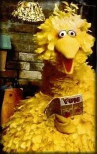 Big Bird (4)