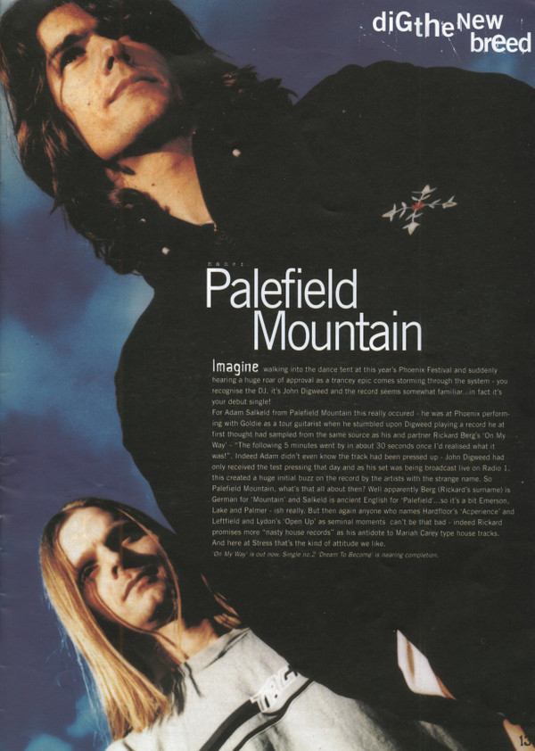 Palefield Mountain