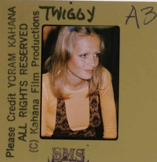 Twiggy (2)