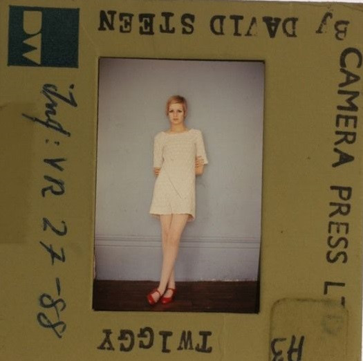 Twiggy (2)
