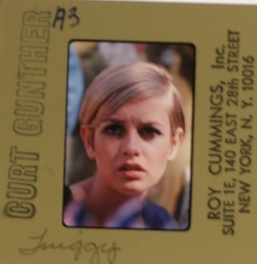 Twiggy (2)