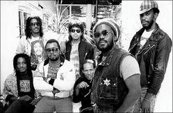 The Wailers Band