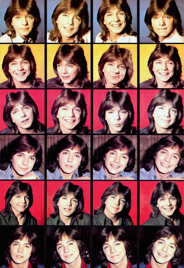 David Cassidy