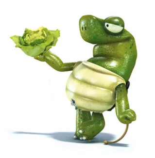 Mickael Turtle