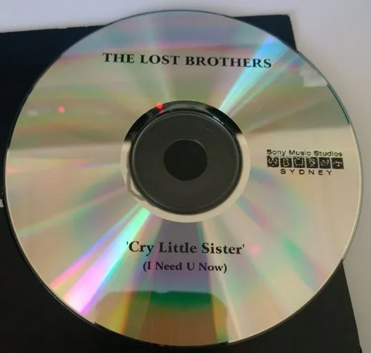 The Lost Brothers