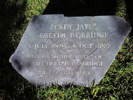 Lady Jaye Breyer P-Orridge