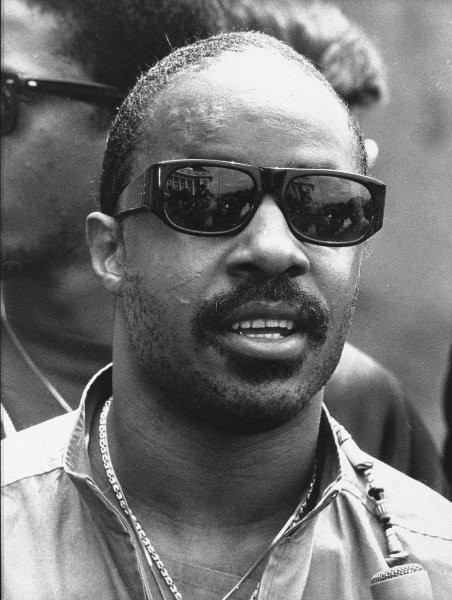 Stevie Wonder