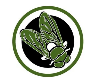 Greenfly
