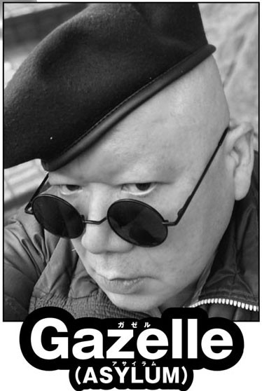 Gazelle (5)