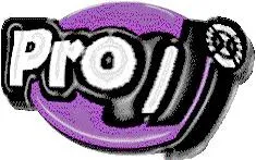Pro DJ International