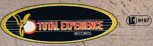 Total Experience Records