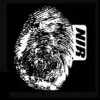 New Identity Recordings