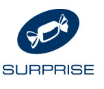 Surprise Records