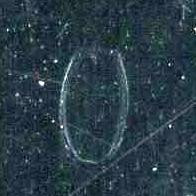 Capitol Records Pressing Plant, Jacksonville