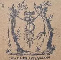 Madlib Invazion