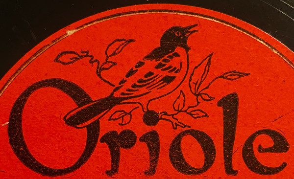Oriole (3)