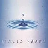 Liquid Asset