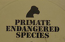 Primate Endangered Species