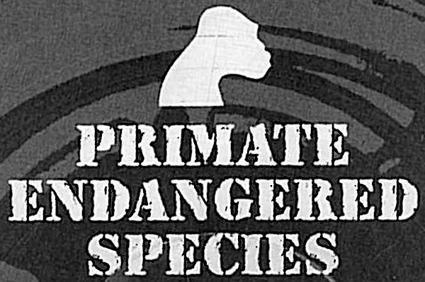Primate Endangered Species