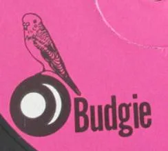 Budgie (2)